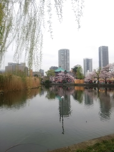 e0047657_0243998.jpg