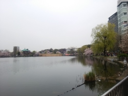 e0047657_0353035.jpg