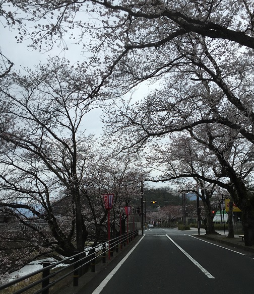 b0186959_15562649.jpg