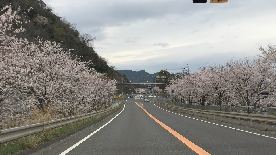 b0186959_15572235.jpg