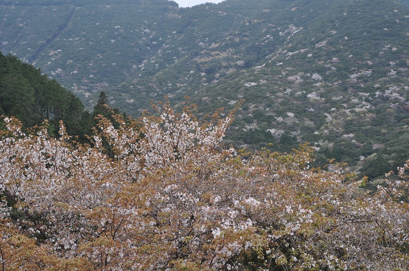 b0104861_22211219.jpg