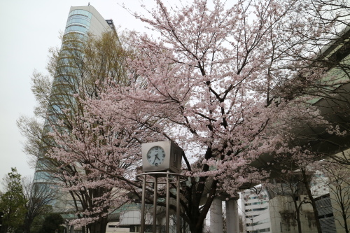 f0345263_10154279.jpg