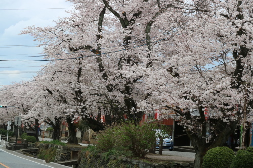 f0345263_20353319.jpg