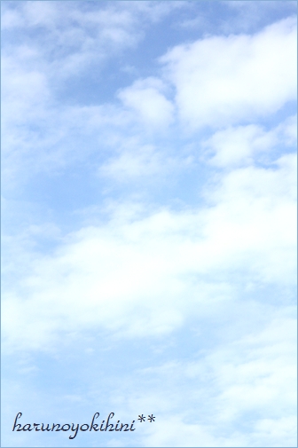 d0337265_2227520.jpg