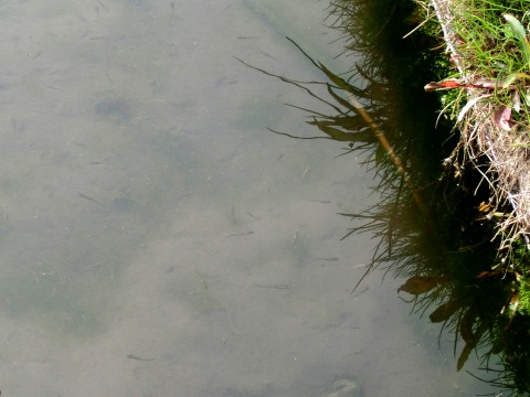 e0045768_2218539.jpg
