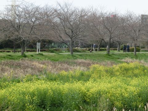 e0045768_2232714.jpg