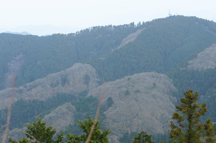 e0307372_17583329.jpg