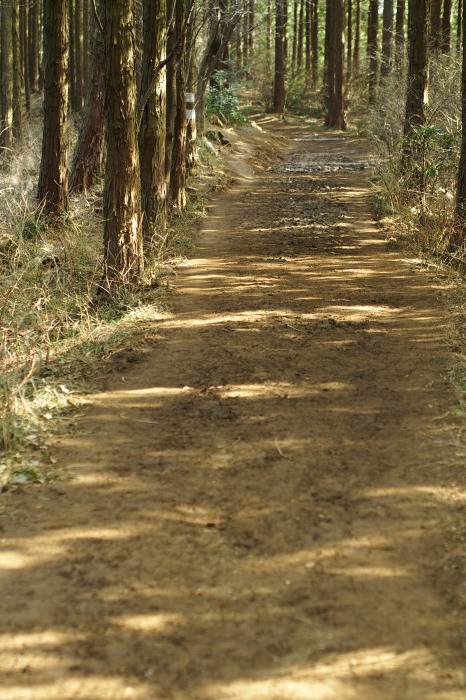 e0307372_17591064.jpg
