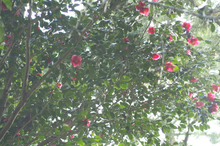 e0307372_18011971.jpg