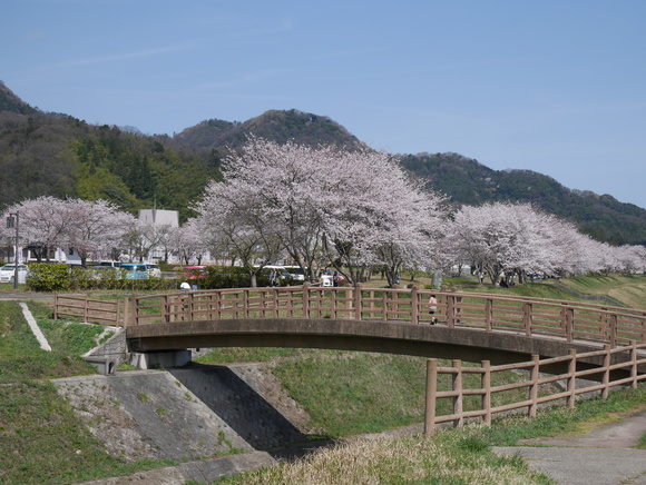 f0153475_13322164.jpg