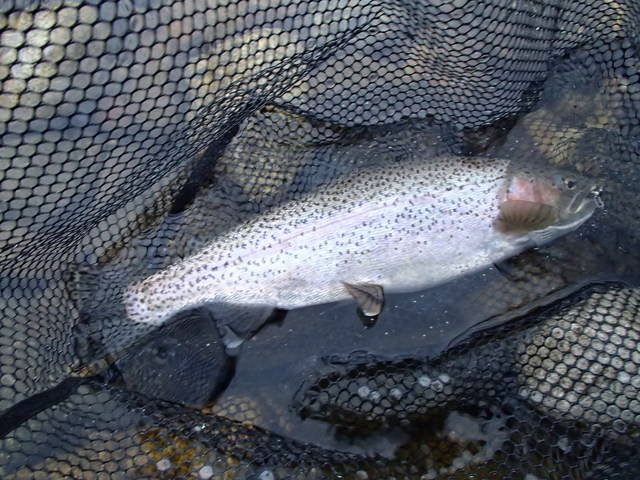 a0093677_21575147.jpg