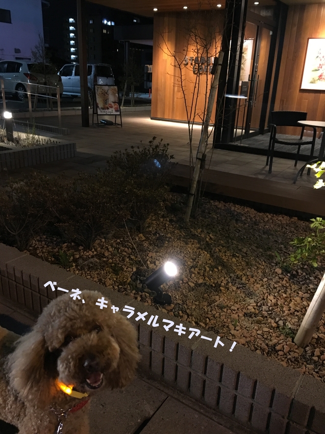 c0283778_11284384.jpg