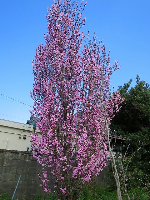 b0326483_23571525.jpg