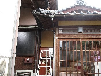 f0003283_20394985.jpg