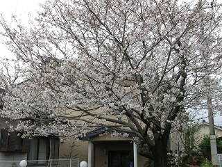 e0130185_19282084.jpg