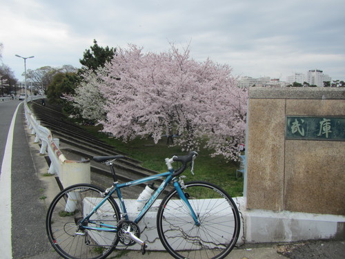 a0251786_203548.jpg