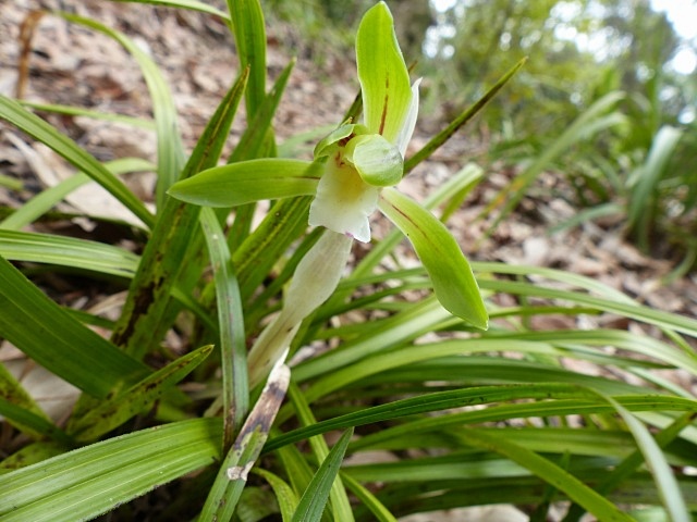 f0357487_15154037.jpg
