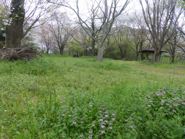 f0357487_1565891.jpg