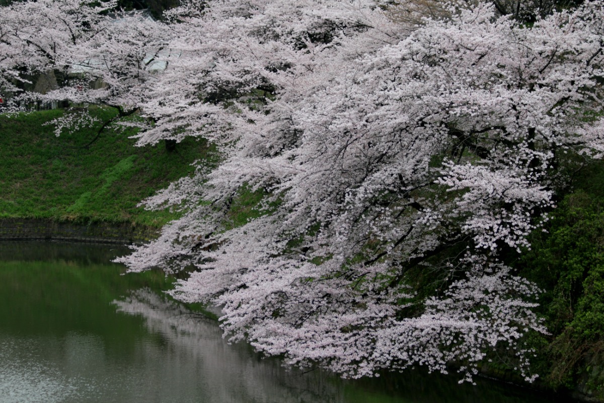 a0127090_2233594.jpg