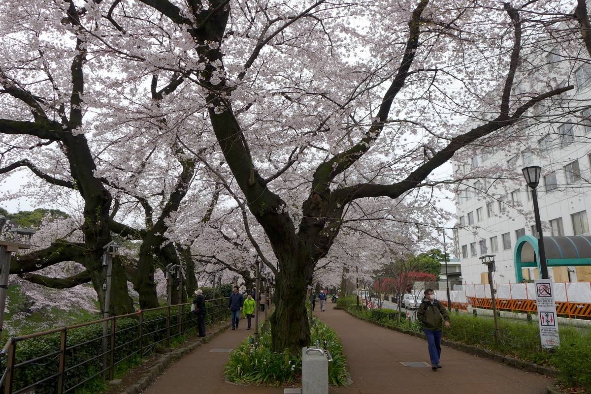 a0127090_2245697.jpg