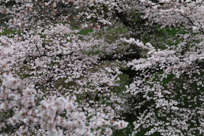 a0127090_227126.jpg