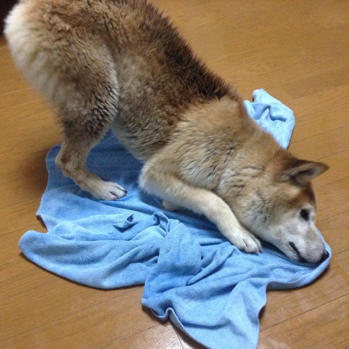 c0123890_22233847.jpg