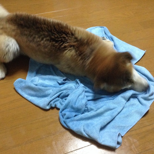 c0123890_2224467.jpg
