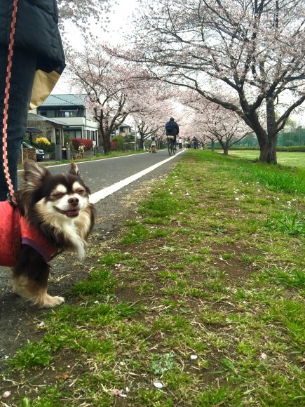 c0004193_08090661.jpeg