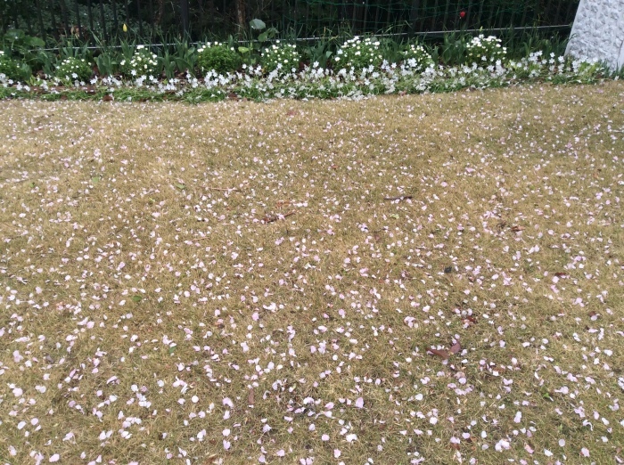 f0268294_15294101.jpeg