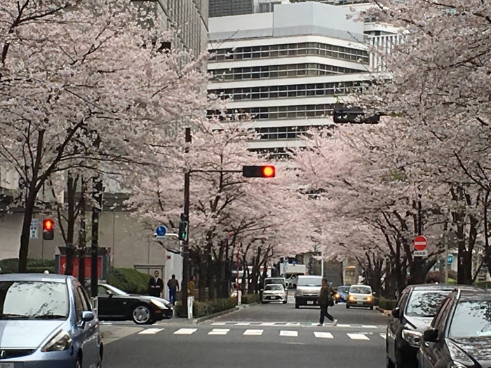 f0268294_16020624.jpeg