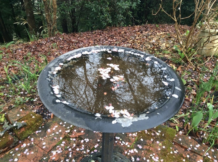 f0268294_16171964.jpeg