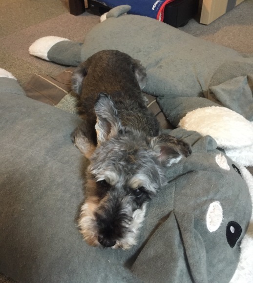 b0188998_20582710.jpeg