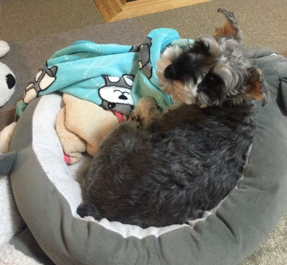 b0188998_20590740.jpeg