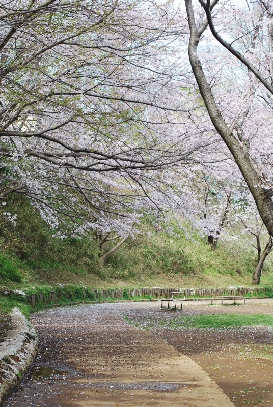 e0025300_1133363.jpg