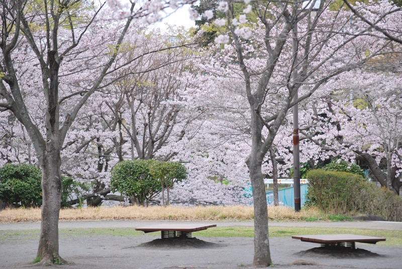 e0025300_11532383.jpg