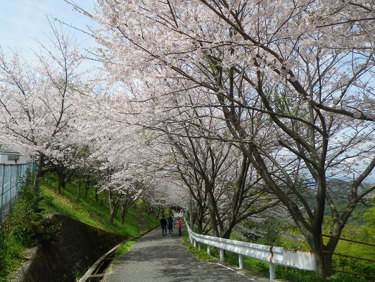 f0187402_2375130.jpg
