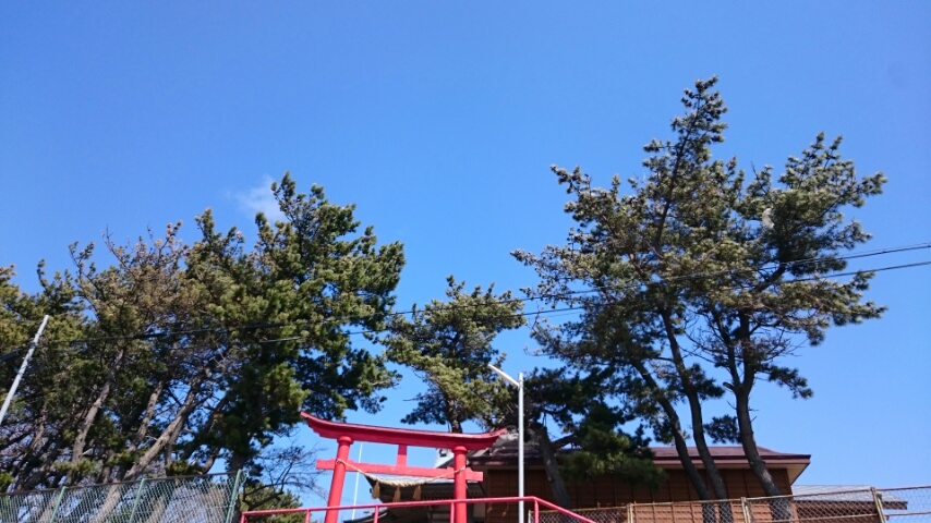 d0149105_20101658.jpg