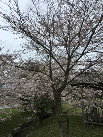 c0114121_024043.jpg