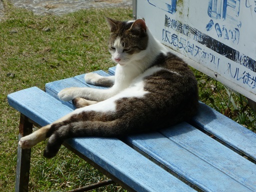 f0000521_22011454.jpg