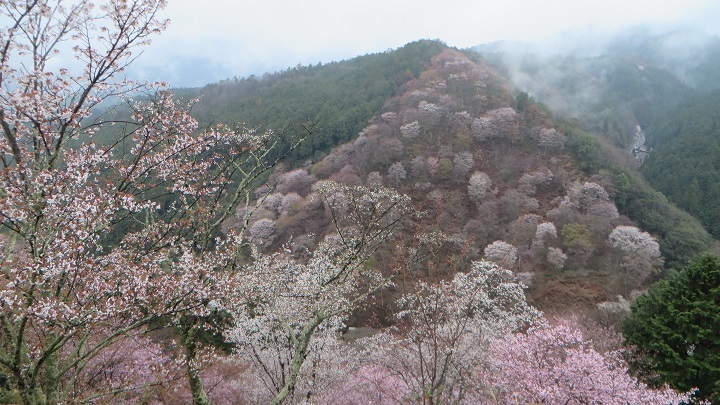 c0280322_10301732.jpg