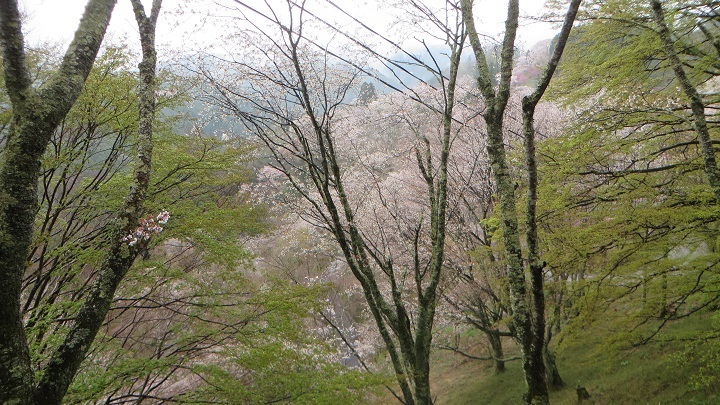 c0280322_10320836.jpg