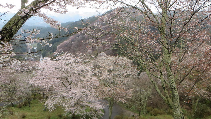 c0280322_10322093.jpg