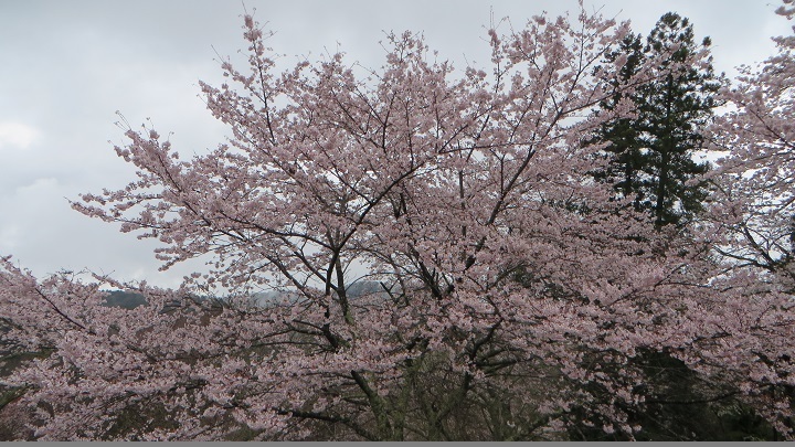 c0280322_10325934.jpg