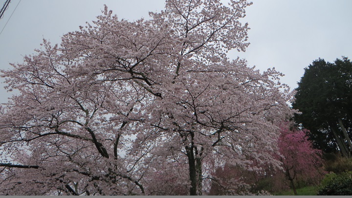 c0280322_10331509.jpg