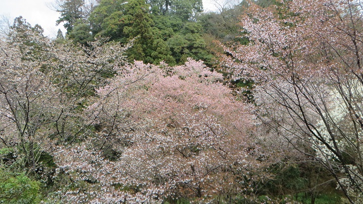 c0280322_10332094.jpg