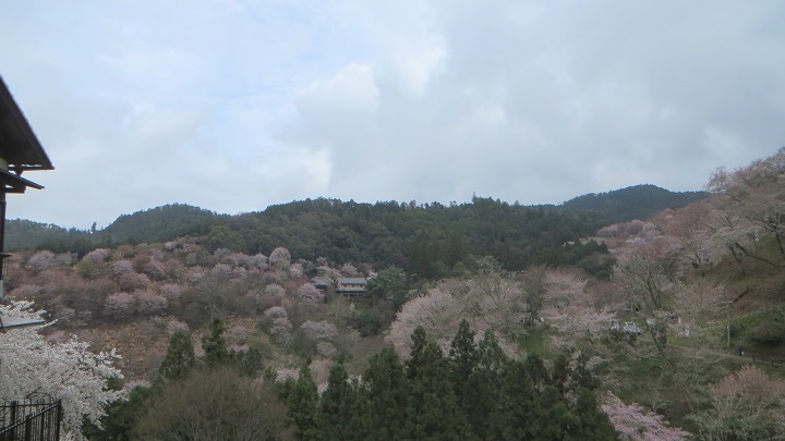 c0280322_10332457.jpg