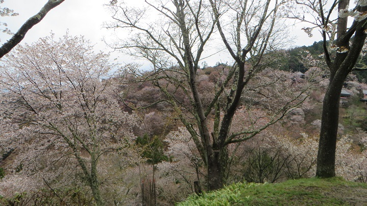 c0280322_10390374.jpg