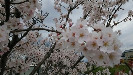 f0114128_09364859.jpg