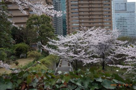 f0132230_931563.jpg