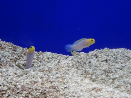 a0157637_13242058.jpg